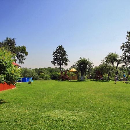 Pensiunea La Bradul Inalt Porumbacu de Sus Exterior foto